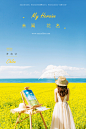 青海油菜花旅拍