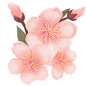 花瓣素材_植物通用粉色插画桃花花朵元素素材_193464152