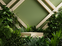 阿哦0采集到植物场景