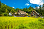 日本白川乡合掌村 - 小红书