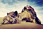 沙漠中趴着休息的骆驼特写，macdown插图，精美骆驼图片素材，沙漠骆驼精选素材，骆驼，Mac下载素材
