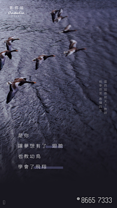 灬平淡生活里的刺丿采集到节气