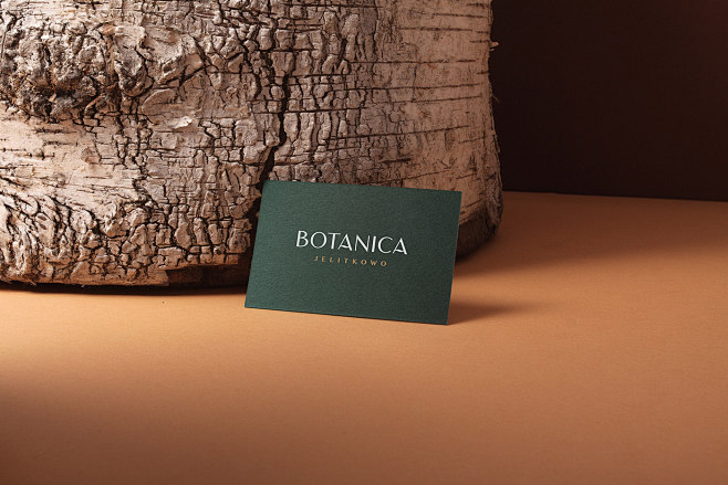 Botanica : We made b...