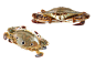 梭子蟹