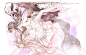 魔法少女小圆 晓美焰 鹿目圆