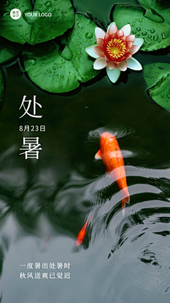飞哥X采集到节气类