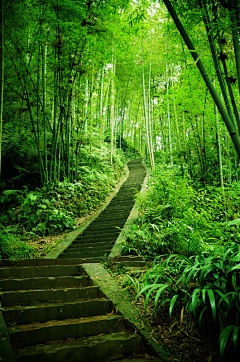 Rolcooper采集到scenery