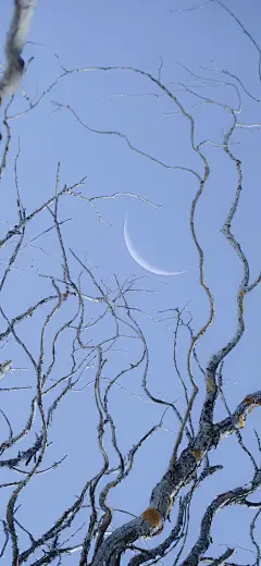 手机壁纸