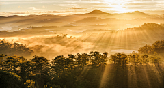 myunzuye采集到背景