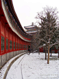 故宫 北京雪景   姗姗来迟的冬雪变成春雪   瑞雪兆丰年, 午夜飞行的狼旅游攻略