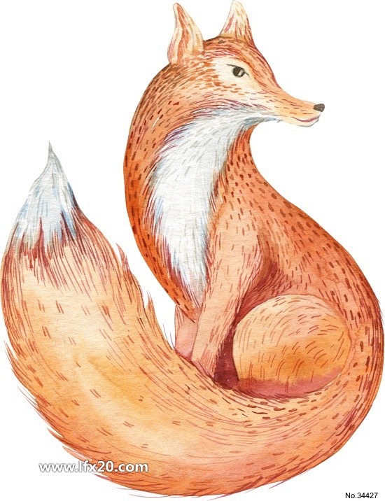 动物插画