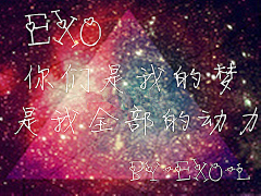 Devil上校采集到exo-we are one