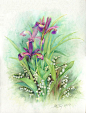 Iris et Muguet