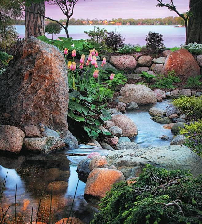 自然驳岸 水景 雨水花园