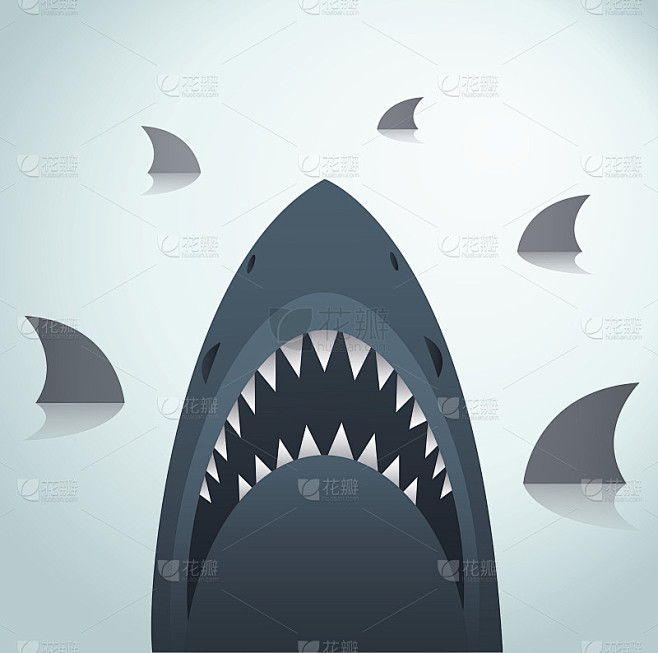 Shark vector illustr...