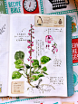                                                                                                     回答一下近期总被问的手帐工具：百乐贵妃钢笔，鲶鱼列克星敦灰墨水，MD手帐本芯，樱花自来水笔以及其他一些水彩毛笔，新韩管状水彩颜料。
还有些同学问我画水彩的工具，由于牵扯画材品牌种类较多，我稍后再做一个详细的总结。
自从做大自然笔记的手帐啊，涨知识不少。去植物多的地方，有些小花也能叫的 ​​​​...展开全文c