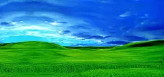 清新的风格 Windows XP 桌面壁纸#采集大赛#