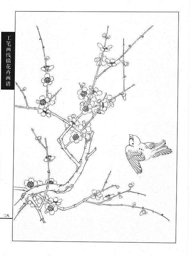 工笔画线描花卉画谱(梅花篇)