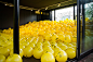 Ball.Room. / 2016 : I have created 65 different well-known as well as new emojis that have been put on 2015 yellow inflatable beach balls using 14 character sets of different typefaces. Then I filled up a room with these yellow balls.Every visitor can tak