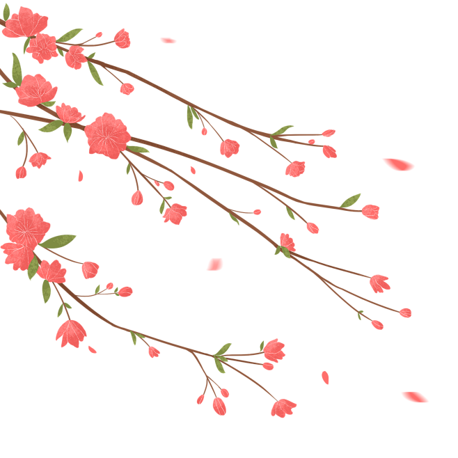 花枝素材 21