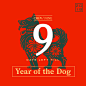Tết — Year of the Dog 2018 : Happy Lunar New Year everyone! May Year of the Dog bring you great luck & happiness. Cheers!