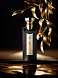 Bvlgari Eau Parfumee au The Noir  The composition is signed by perfumer Jacques Cavallier. The scent is elegant, deep and oriental. It contains accords of black tea, Damascus rose, tobacco, leather, oud, wood bark and patchouli.: 