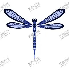蜻蜓 【酷图网】蜻蜓,小蜻蜓,矢量蜻蜓,工笔画,工笔画蜻蜓,插画,插画蜻蜓,原画,装饰画,背景墙,元素,动物,生物