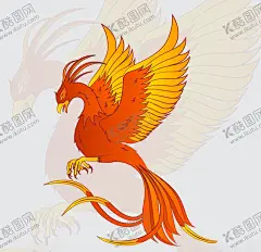 凤凰 【酷图网】凤凰,鸟,插图,手绘,插画,Ai矢量,图片素材