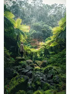 #摄影（风景-绿色系壁纸-春天-生活）