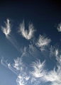 Angel clouds: 