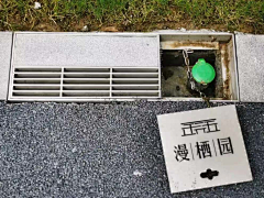 棱镜2采集到工艺细节