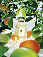 Jo Malone™ Lime Basil & Mandarin Cologne—I've heard so much about this fragrance line, it's expensive, but one day I'd like to try one of them.