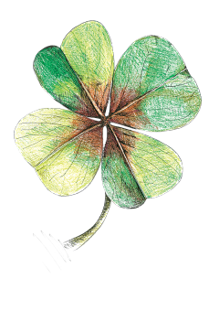秃了但更强了采集到手绘水彩卡通绿色四叶草花卉透明免抠PNG图案 PS装饰合成设计素