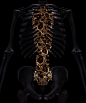 "Infestation" Morbid Yet Attractive Skull Art by UK Artist Billelis