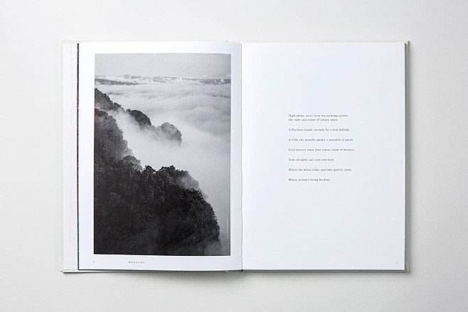 The Pavilia Hill : T...