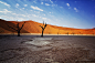 Dead Vlei, Namibia