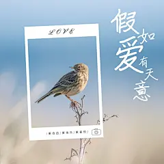 风景山水旅游记录界面风plog模板