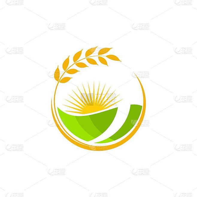 农业小麦水稻矢量图标设计
