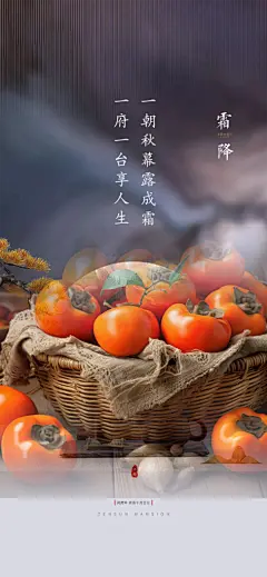 霜降节气国风唯美传统插画海报