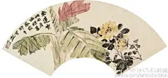#海上画派#【 清 赵之谦 《陶炼野逸册》② 】此册款题取法多人，所谓取法者，实际上都是画为某家所擅名的题材，譬如陆治的藤萝、徐渭的墨荷、石涛的水仙、金农的梅花和李鱓的绣球、芍药、菊花，以及钱载的兰石，具体的画法则全然出乎于己，李、恽技法的结合已经相当熟练。作者作此册时年35岁。上接①…