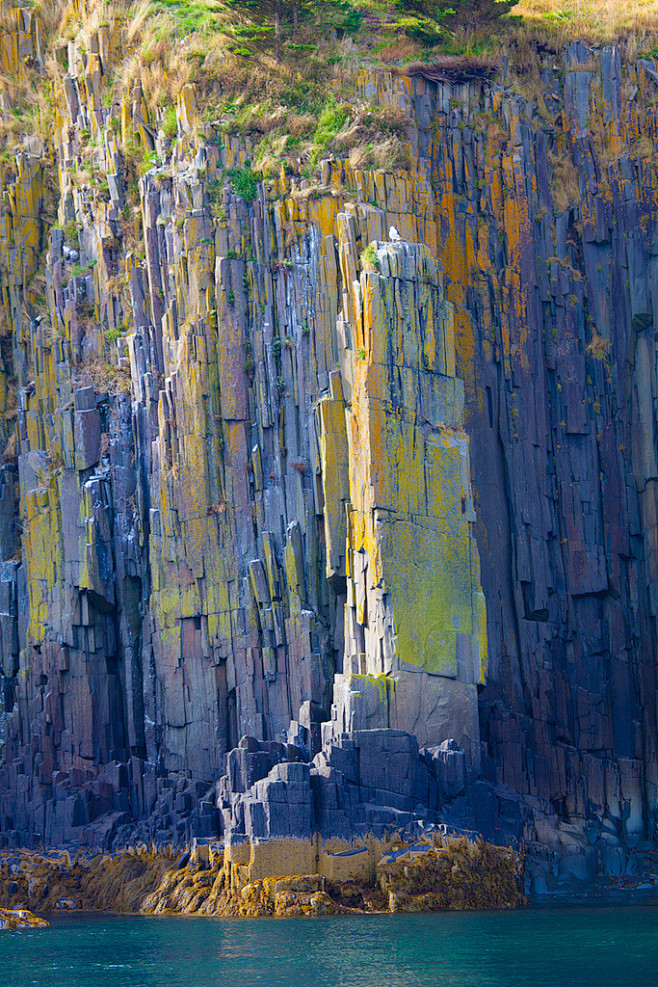 荆棘岛岸边上由青苔造成的多彩的火山岩~大...
