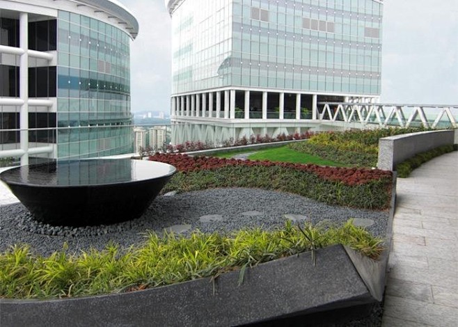 Sky garden at Fusion...
