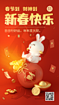 新年兔年春节节日祝福动态海报