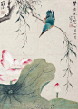 江寒汀花鸟作品——江寒汀（1903—1963），江苏常熟虞山镇人，十六岁跟从陶松溪习花鸟画，二十八岁开始卖画为生。中年流寓上海，曾任教于上海美术专科学校。解放后，为上海中国画院首批画师。江寒汀擅长花鸟画，尤以描绘各种禽鸟著称于世。他的绘画内师传统，外师造化，擅长双钩填彩、没骨写生。