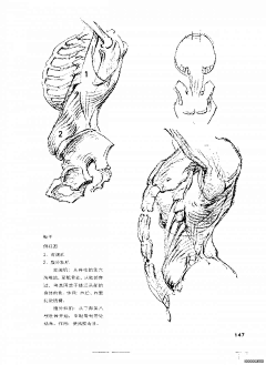 云水千年采集到月