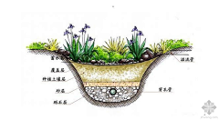 云淡风散采集到LANDSCAPE——海绵城市/生态景观/雨水花园