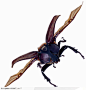 昆虫世界-展翅的甲虫