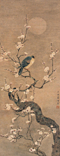 天工净雅：国画大师陈之佛工笔花鸟画精选【组图】 - 石庆 - 石庆的博客