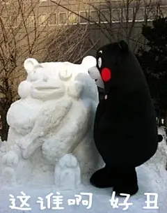 这谁啊 好丑 熊本熊下雪表情包