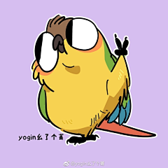 昊哈哦采集到ip
